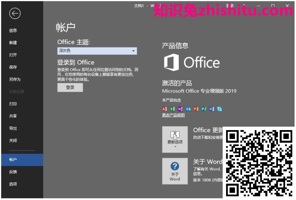 微软Office 2019 企业定制版/专业增强版(批量授权版) 第2张