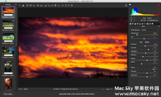 苹果RAW文件编辑工具 Adobe Camera Raw 9.9.10 Mac OS X