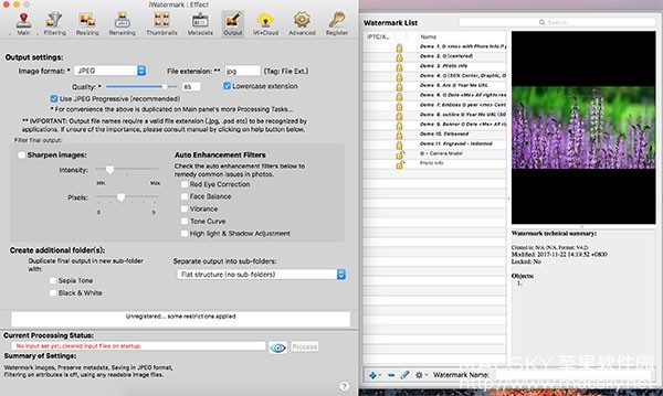 iWatermark Pro 2.6.3 Mac 中文版 图片批量添加水印工具