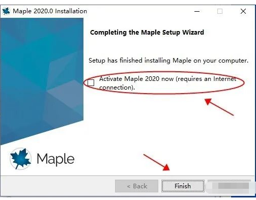 Maple 2020 下载链接资源及安装教程-9
