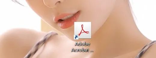 Acrobat XI Pro 软件介绍及安装-14