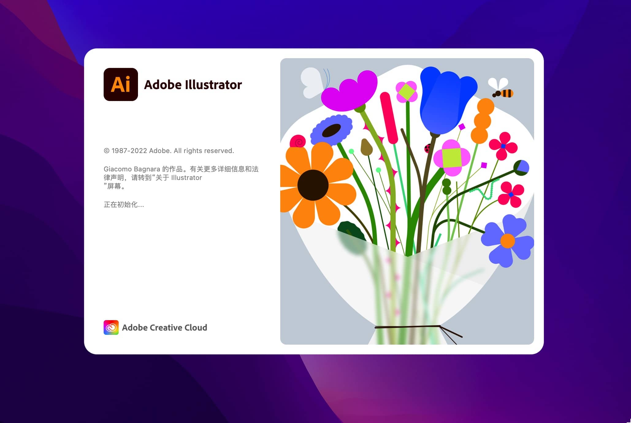 Adobe Illustrator for mac 2023 27.0.0