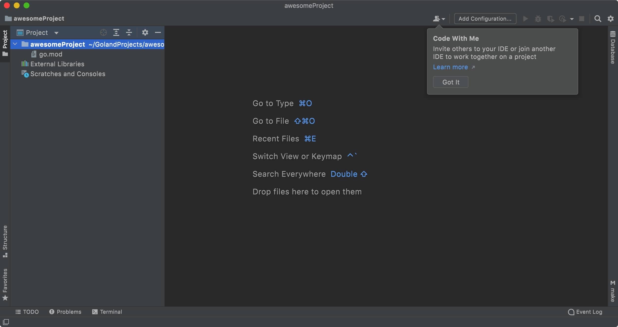 GoLand for mac 2021.3 Go语言开发集成环境