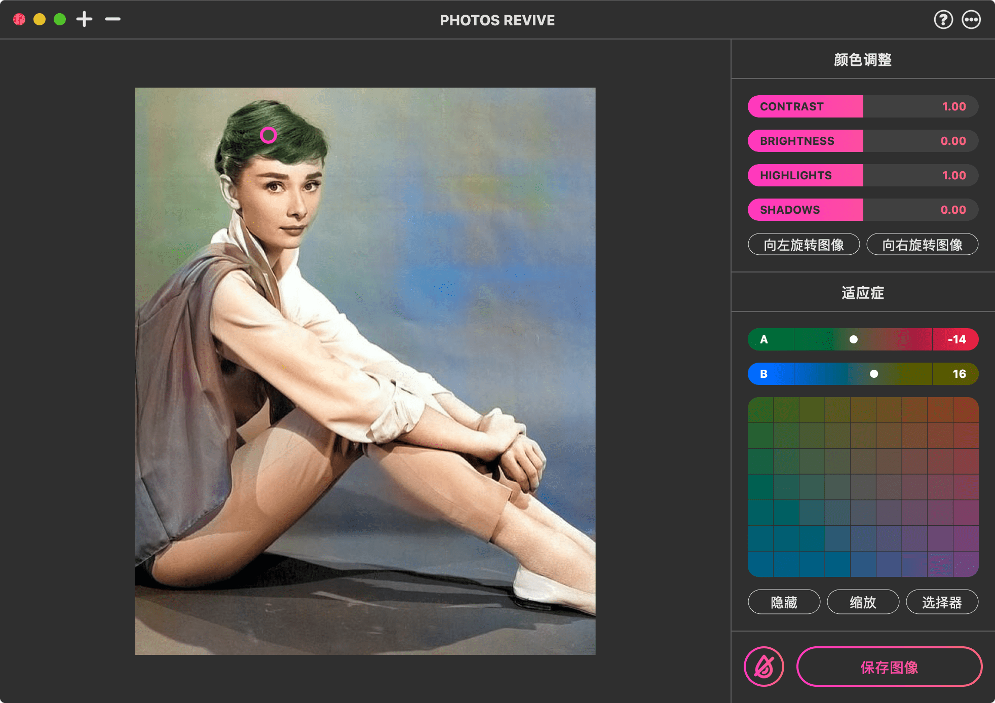 PhotosRevive for mac 2.0.9 黑白照片上色