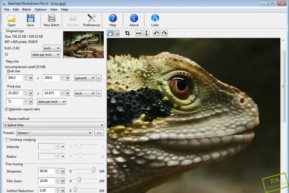 Benvista PhotoZoom Pro 8.0官方单位文件版 图片无损放大软件下载-1