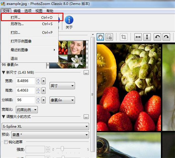 PhotoZoom Classic(图片放大软件)绿色中文版下载 v8.0