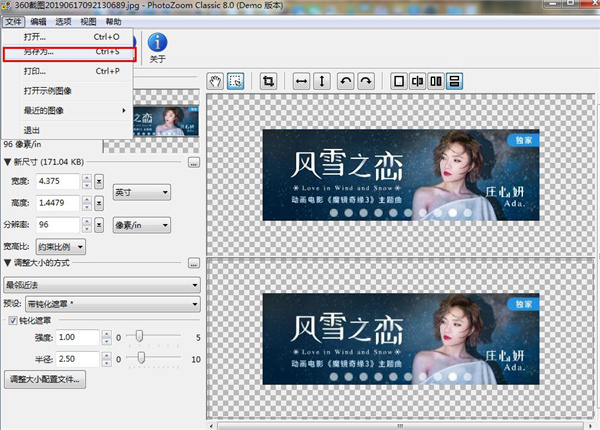 PhotoZoom Classic(图片放大软件)绿色中文版下载 v8.0