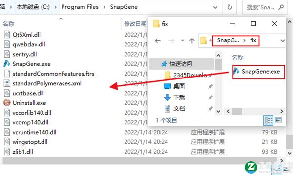 SnapGene 6中文破解版-SnapGene 6最新免费版下载 v6.0.2