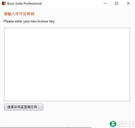 Burp Suite 2022中文破解版-Burp Suite Professional 2022永久免费版下载 (附破解补丁)[百度网盘资源]