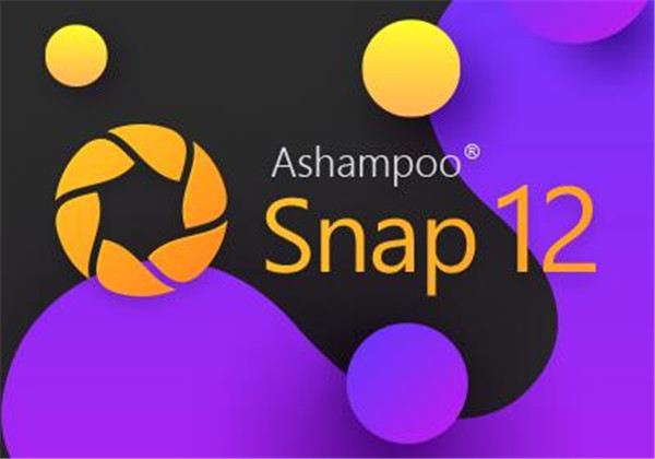 Ashampoo Snap 12(阿香婆屏幕截图工具)注册码