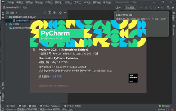 JetBrains PyCharm 2021专业版