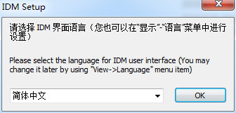 IDM破解版_Internet Download Manager最新破解版(附破解补丁) V6.32下载