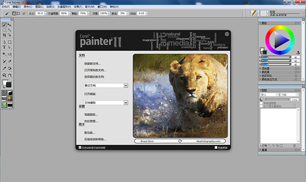 Corel Painter 11