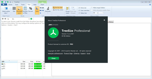 TreeSize Professional