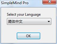 SimpleMind Desktop Pro中文破解版下载 v1.22.0