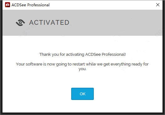 Acdsee Pro2021中文激活版下载 v14.0(附许可证秘钥和安装教程)[百度网盘资源]