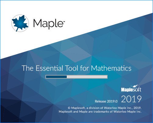 Maple 2019破解补丁