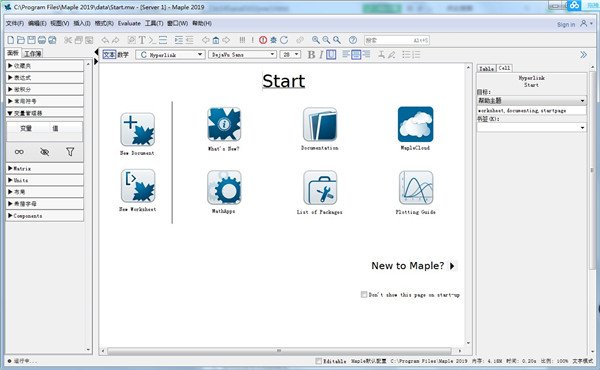 Maplesoft Maple 2019.0 x64破解版