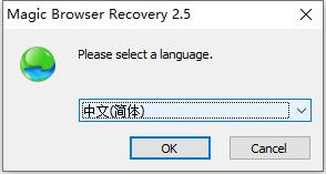 Magic Browser Recovery中文破解版下载 v2.5(含注册码)