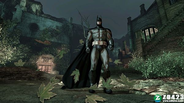 蝙蝠侠阿卡姆疯人院游戏下载-蝙蝠侠阿卡姆疯人院破解版(附攻略)