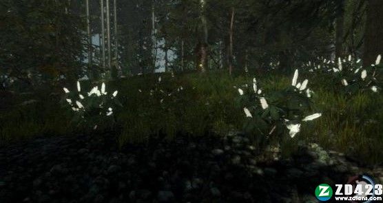 森林游戏正式版下载-森林(The Forest)免安装绿色版 v1.09附作弊码大全