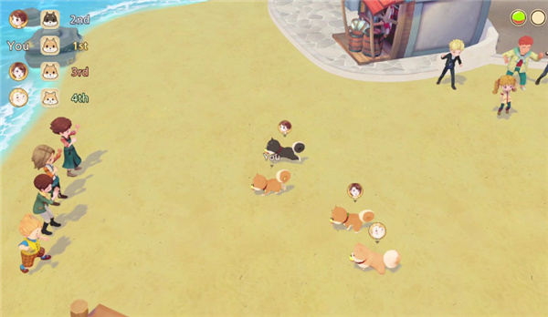 牧场物语橄榄镇与希望的大地修改器-牧场物语橄榄镇与希望的大地十九项修改器一休大师版下载 v1.0