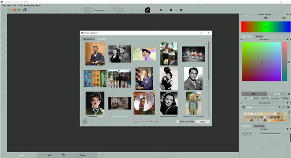 CODIJY Colorizer Pro破解版