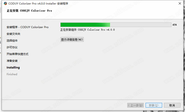 CODIJY Colorizer Pro破解版-照片着色工具软件下载 v4.0.0