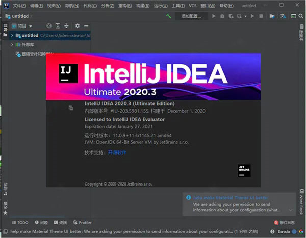 IntelliJ IDEA2020中文特别版