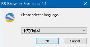 RS Browser Forensics下载 v2.1激活版