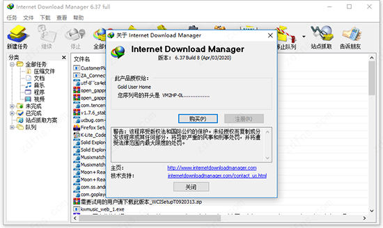 Internet Download Manager