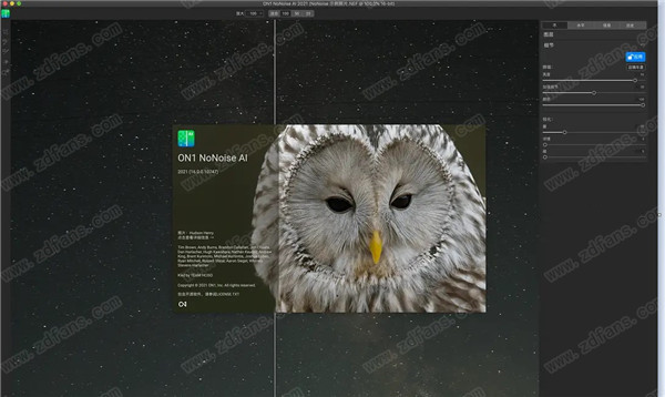 ON1 NoNoise AI 2021中文破解
