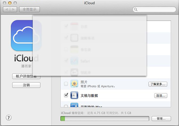 iCloud