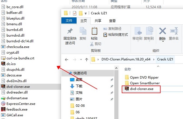 DVD-Cloner Platinum 2021破解版下载 v18.20.1463(附破解补丁)