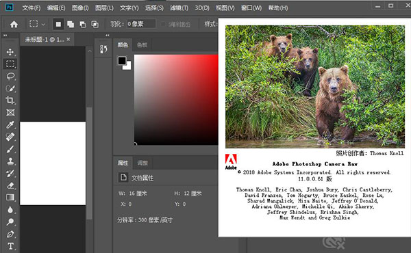 Adobe Camera Raw 11中文版 v11.3下载