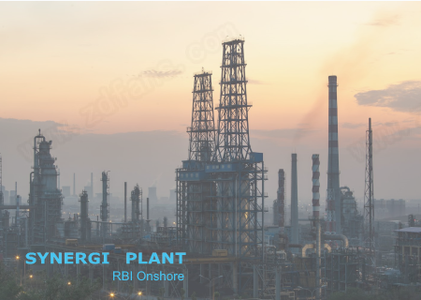 DNV Synergi Plant RBI Onshore中文破解版 v5.6.0.26下载(附破解补丁)
