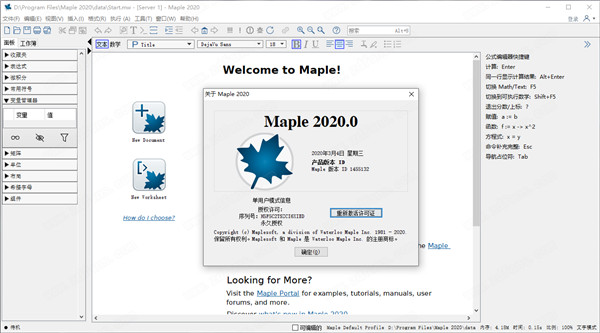 Maplesoft Maple 2020.0中文破解版 下载(附注册机及许可证文件)
