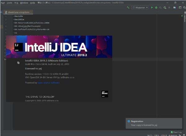 IntelliJ IDEA 2019