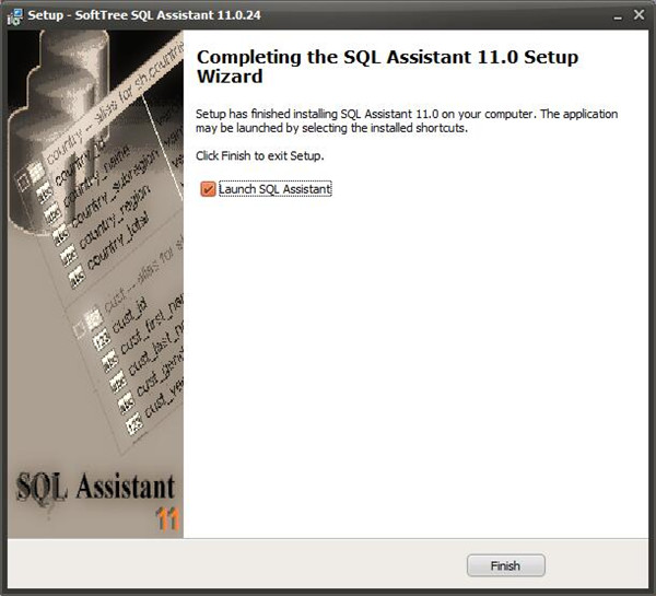 SoftTree SQL Assistant破解版下载 v11.3.279(附安装教程)