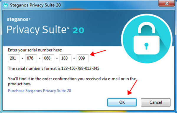 Steganos Privacy Suite破解版下载 v20.0.7