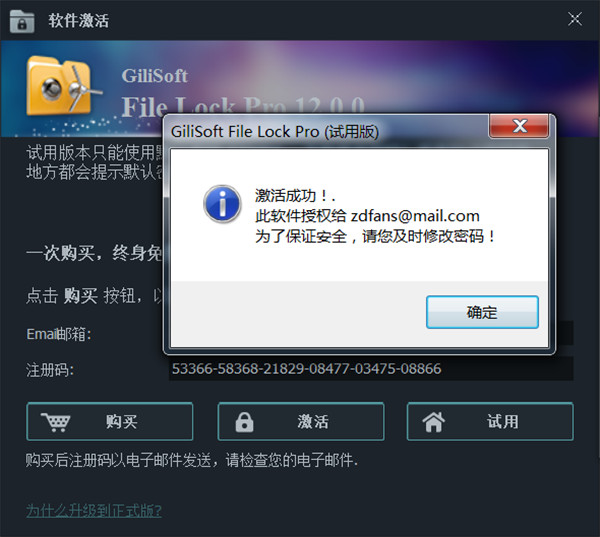 GiliSoft File Lock Pro中文版-GiliSoft File Lock Pro中文免费版下载 v12.0