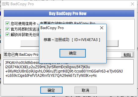 BadCopy pro绿色中文破解版 v4.1下载(附注册码)