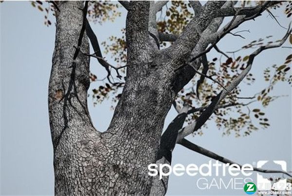 SpeedTree Game 9破解版