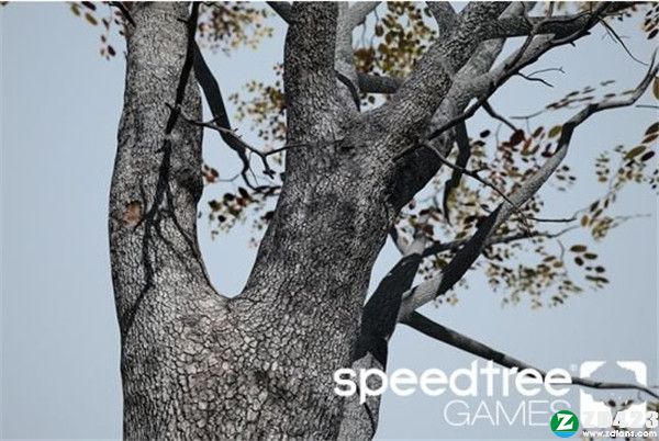 SpeedTree Game 9中文破解版-SpeedTree Game 9完美激活版下载 v9.0(附安装教程)