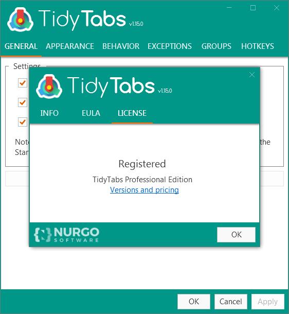TidyTabs(桌面标签管理工具)破解版