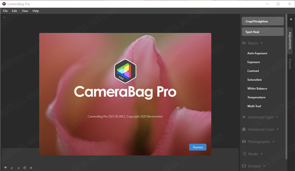Nevercenter CameraBag Pro 2021.0破解版下载(附破解补丁)