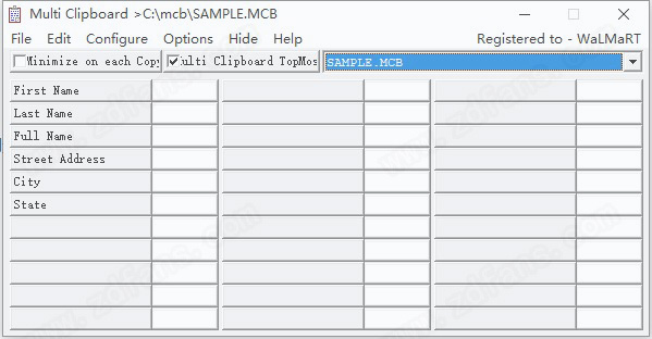 ElectraSoft Multi Clipboard 21中文破解版