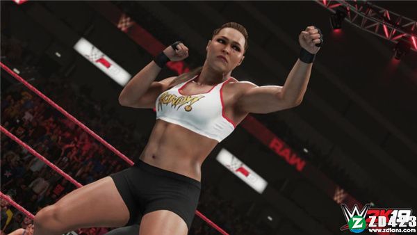 WWE 2K19九项修改器MrAntiFun版下载 v1.0