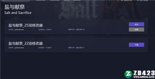 盐与献祭修改器游侠版-盐与献祭二十五项修改器下载 v1.0.0.1