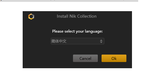 Nik Collection by DxO 6.1.0 Mac/6.4.0 Win 强大的特效插件 中文破解版下载插图4